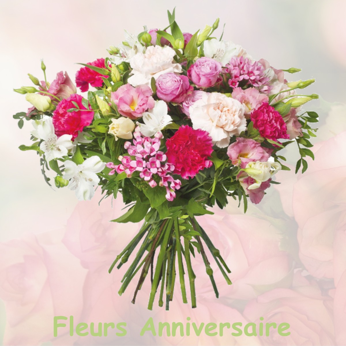 fleurs anniversaire MEAUTIS